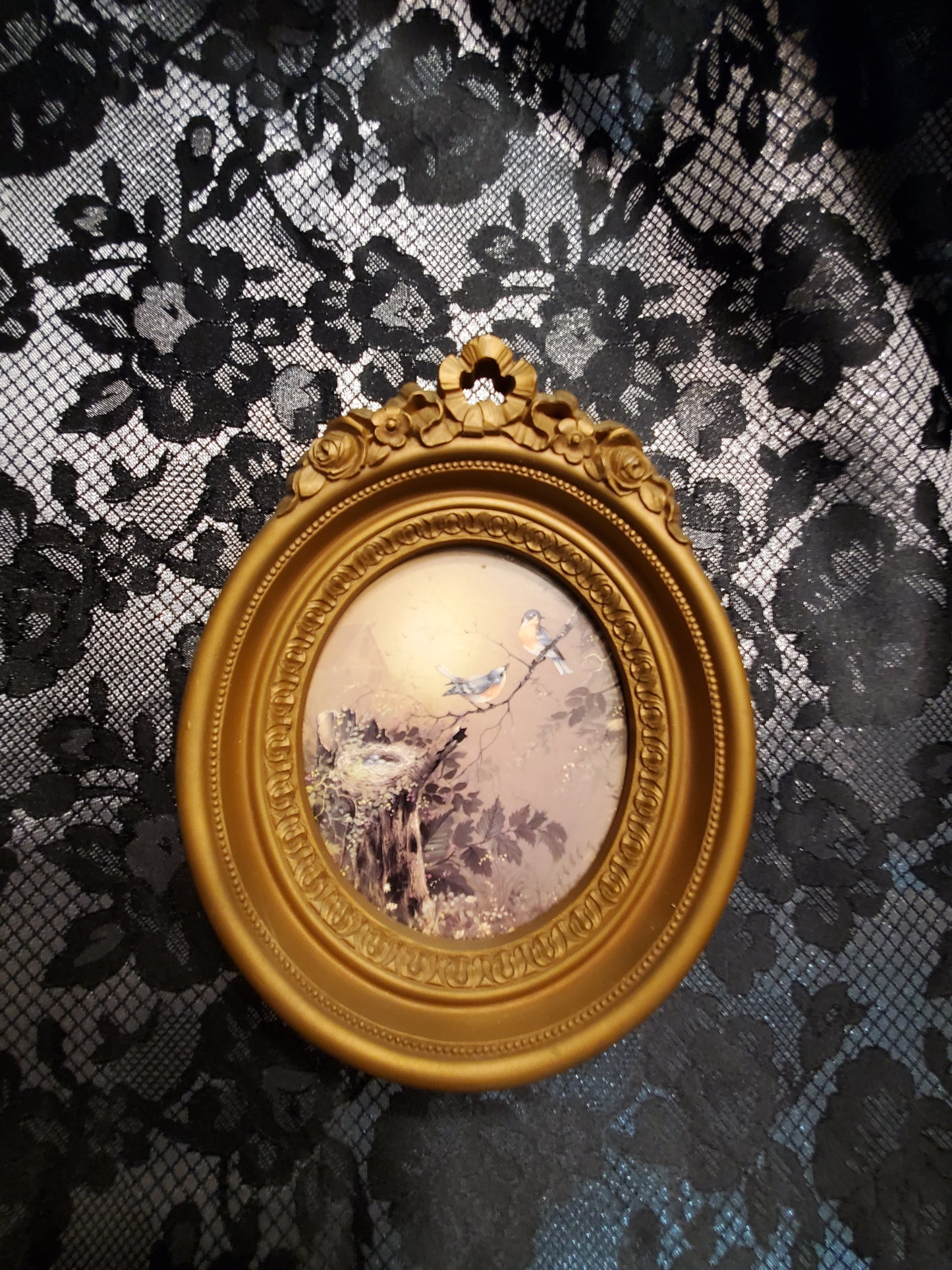 Vintage Framed Birds & Nest